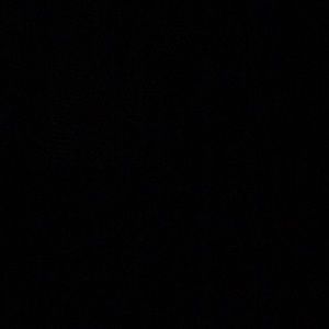 Meet your Posher, Elisa